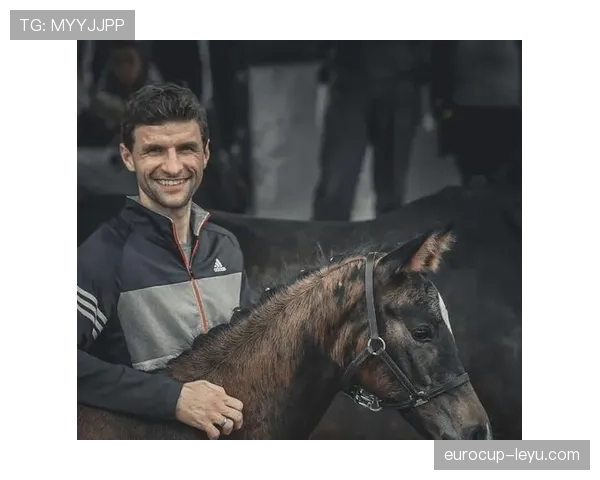 穆勒比赛稳定性分析为体育竞赛结果预测提供全新视角