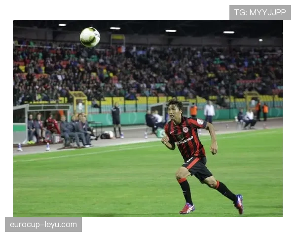 法兰克福调整节奏状态回暖,新赛季备受期待再创佳绩 法兰克福调整节奏状态回暖,新赛季备受期待再创佳绩